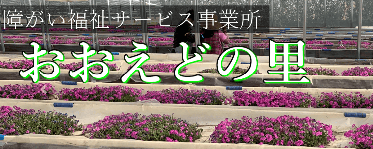 おおえどの里