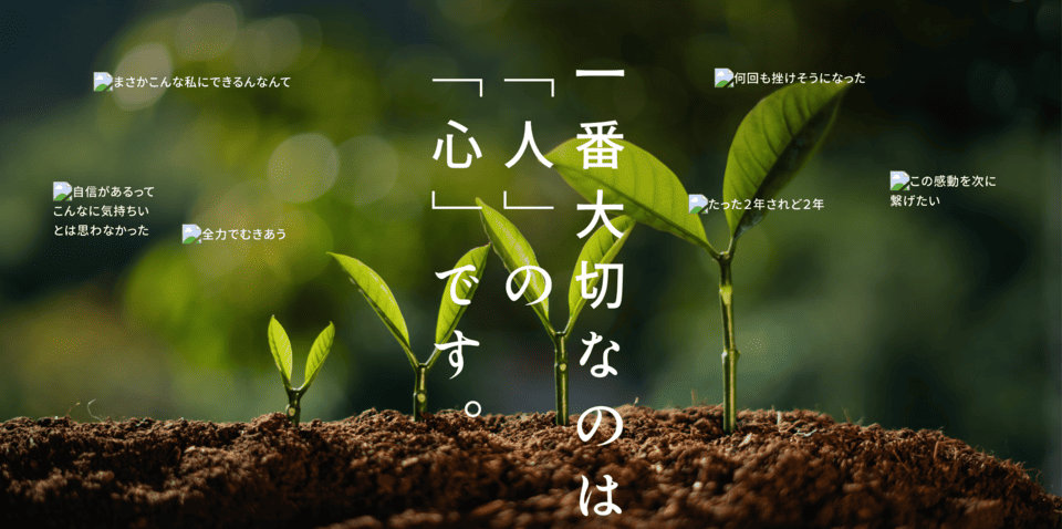 フローライト