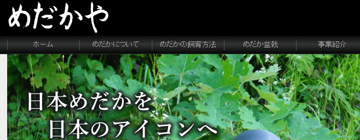 めだかやドットコムレコード