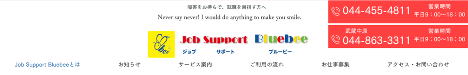 Job Support Bluebee